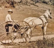 Young man on a single horse drawn cart.