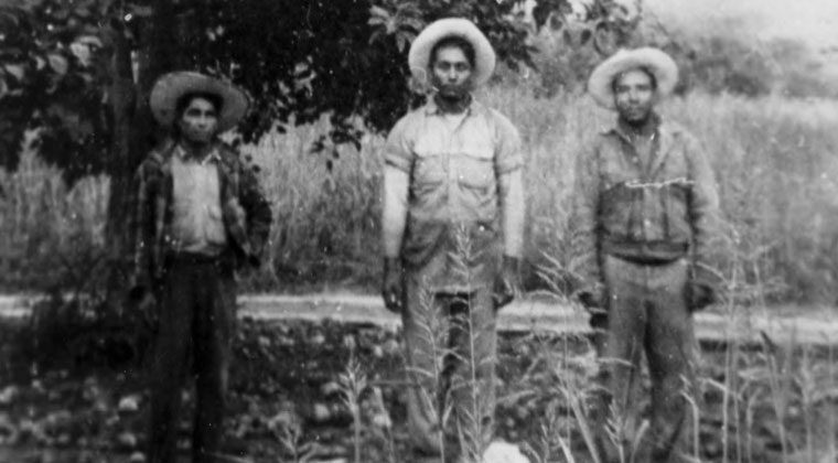 3 men standing in a field