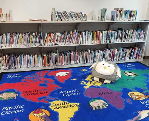 colorful work rug and a 2row book shelf full of books.