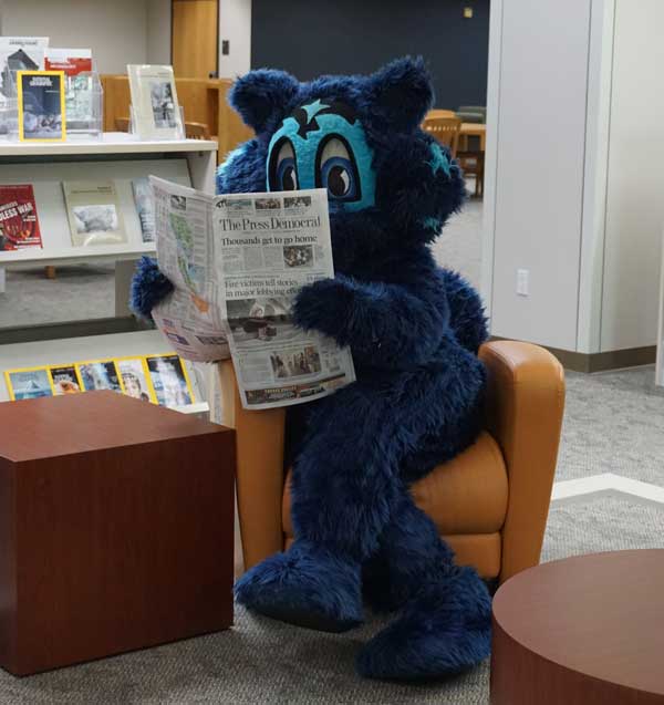 Lobo reading a newspaper