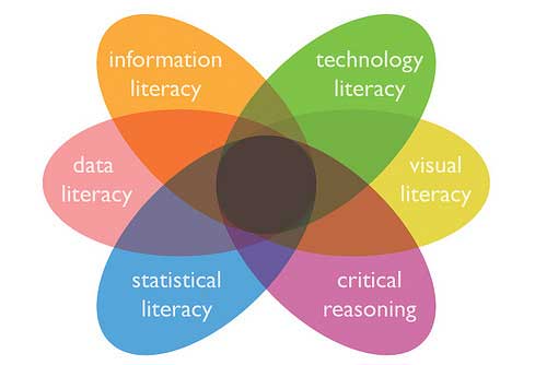 Flower, each petal has the following text; information literacy, data literacy, statistical literacy, critical reasoning, visual literacy, technology literacy