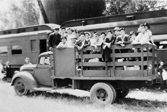 Men standing in the back of an army truck.