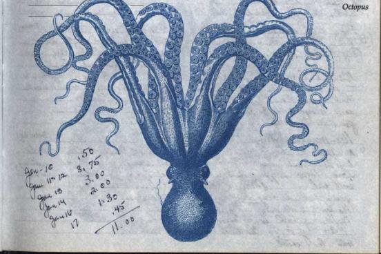 Page with journal entries and a hand drawn upside-down octopus.