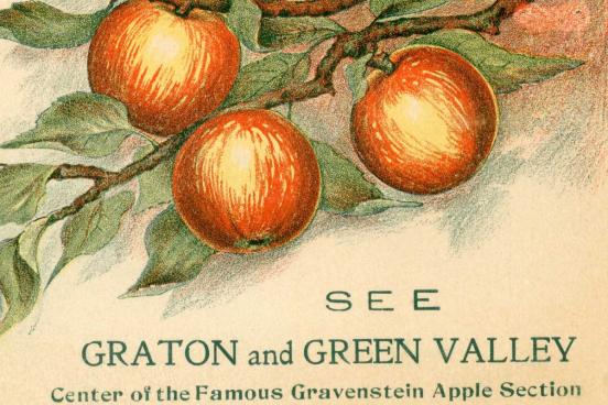 See Graton and Green Valley, Center of the Famous Gravenstein Apple Section.