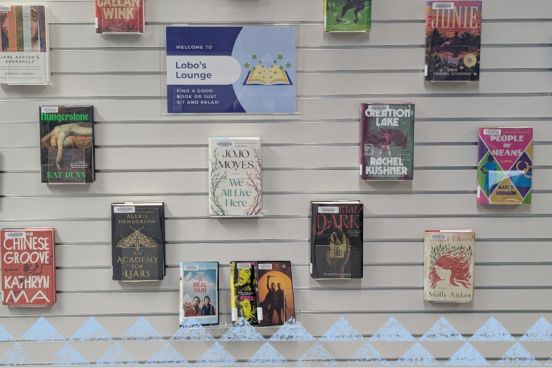 Books displayed on a wall.