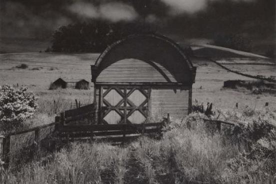 Black and white of a shed in a field.