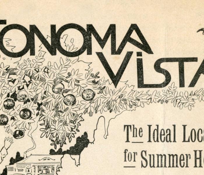 Sonoma Vista, the idea location for Summer homes
