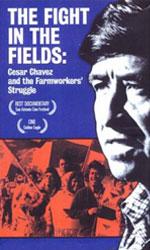 Book cover with title: The Fight in the Fields