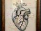 Charcoal, pen and embroidery of a heart.