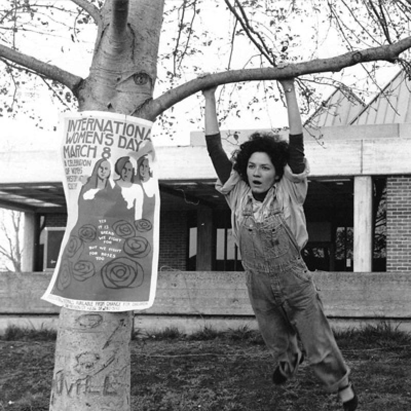 Person swinging from a tree.