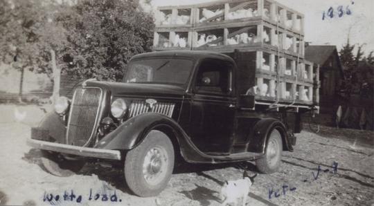 Truck carrying crates of chickens.