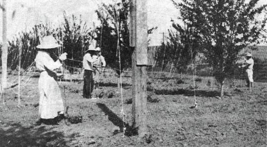 3 people working on a farm.