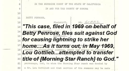 Clipping of text from a lawsuit filing.