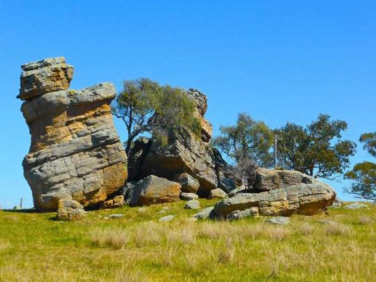 Broken stones that have been split by growing trees.