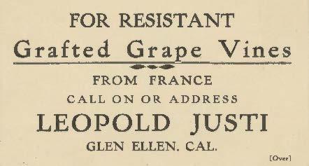 For resistant Grafted grape wines from France call on or address Leopold Justi Glen Ellen , Cal